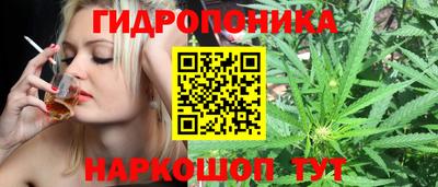 a pvp Славянск-на-Кубани