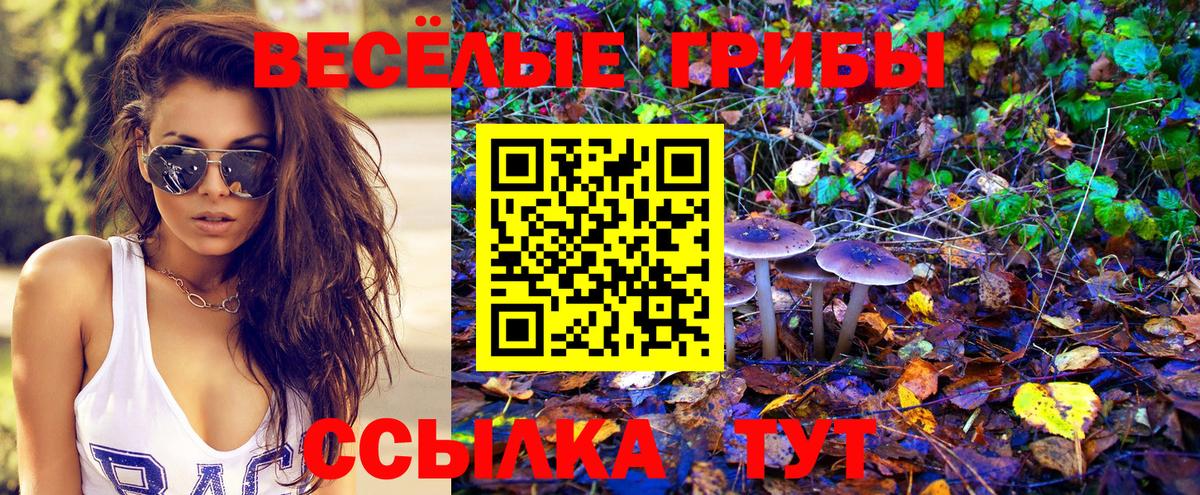 Галлюциногенные грибы MAGIC MUSHROOMS Новокубанск