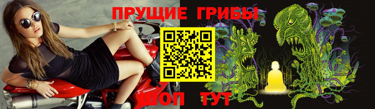 Новокубанск  Галлюциногенные грибы ЛСД  Вход с VPN 